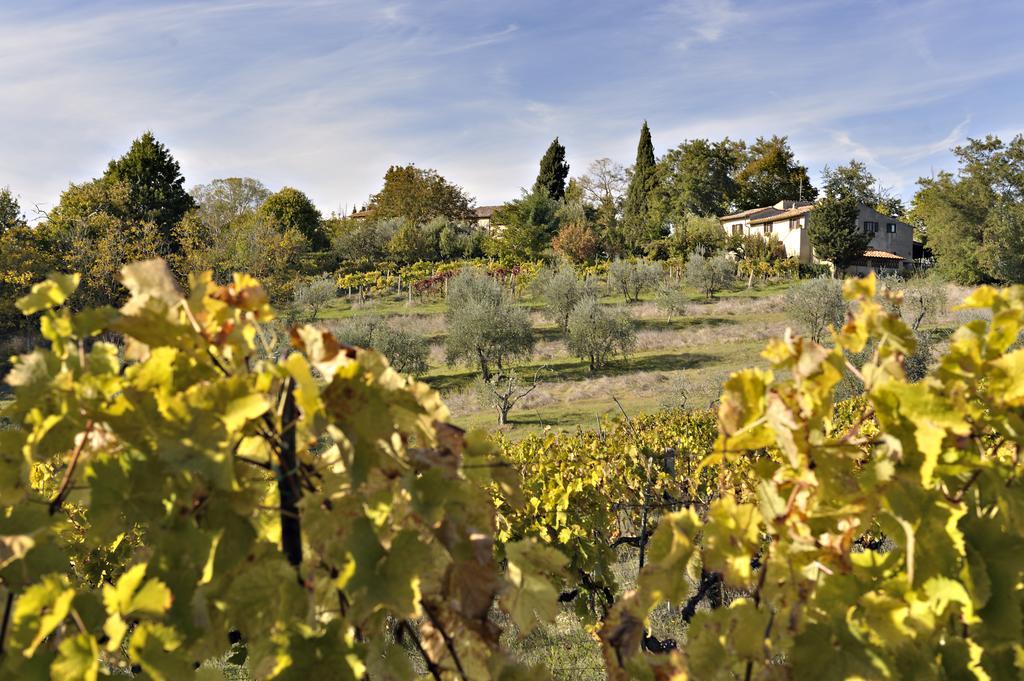 Il Casolare Di Libbiano Pensionat San Gimignano Exteriör bild